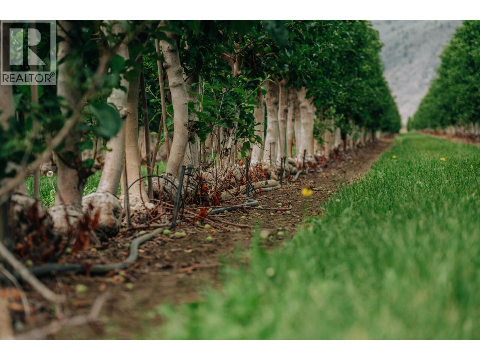 1731 Barcelo Road, Cawston, British Columbia  V0X 1C2 - Photo 18 - 10374345