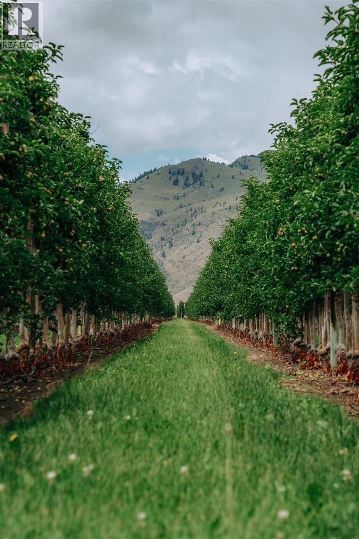 1731 Barcelo Road, Cawston, British Columbia  V0X 1C2 - Photo 21 - 10374345