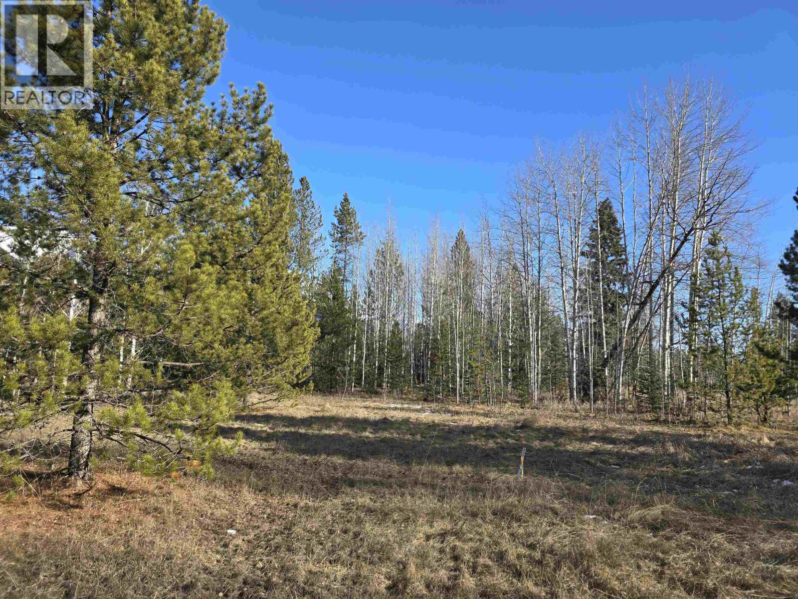 LOT 1 13TH AVENUE, Valemount, British Columbia