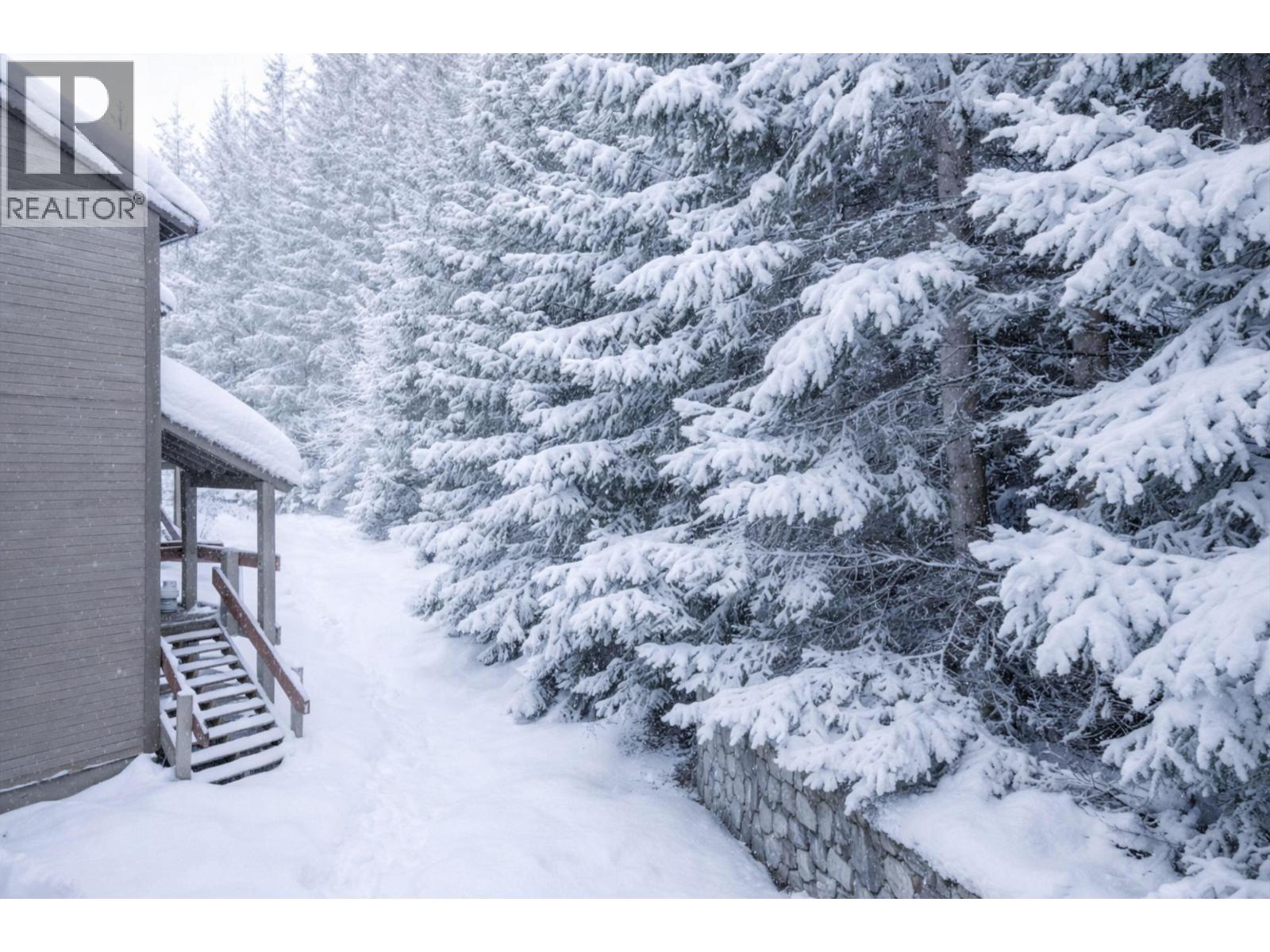 423 4200 Whistler Way, Whistler, British Columbia  V8E 1J4 - Photo 10 - R3084806