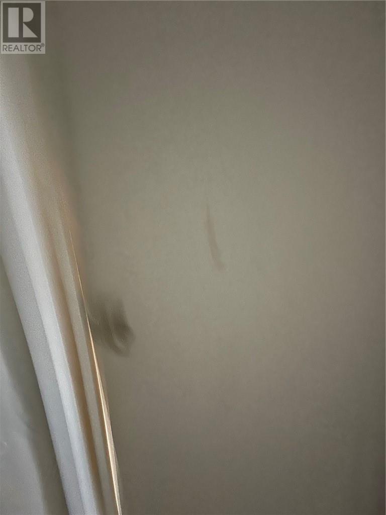 407 Dupont Street, Greater Sudbury, Ontario  P3C 2T8 - Photo 17 - 2125618