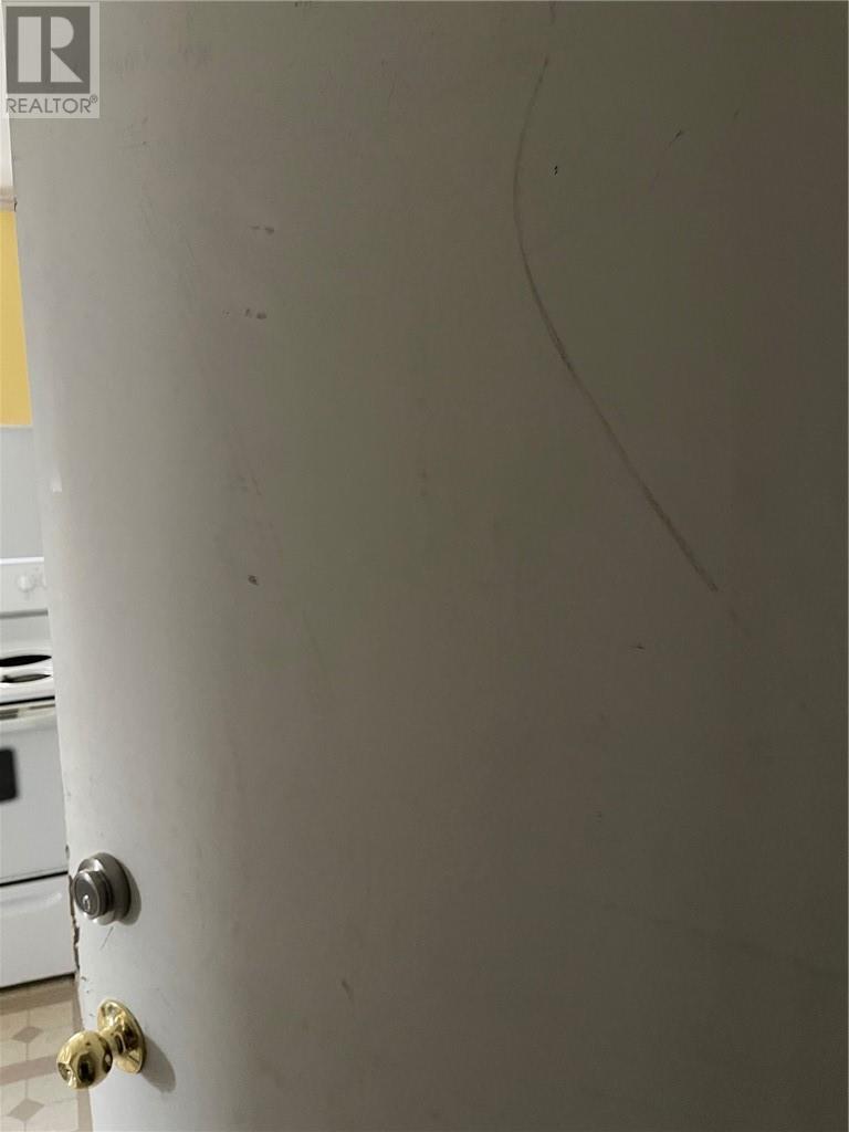 407 Dupont Street, Greater Sudbury, Ontario  P3C 2T8 - Photo 10 - 2125618