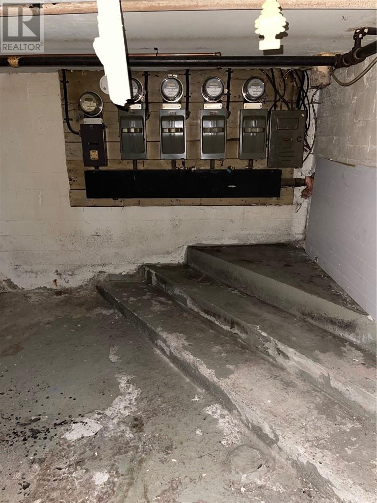 407 Dupont Street, Greater Sudbury, Ontario  P3C 2T8 - Photo 39 - 2125618