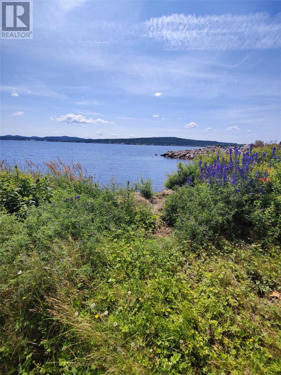 122 Main Street N, Glovertown, Newfoundland & Labrador  A0G 2L0 - Photo 34 - 1292279