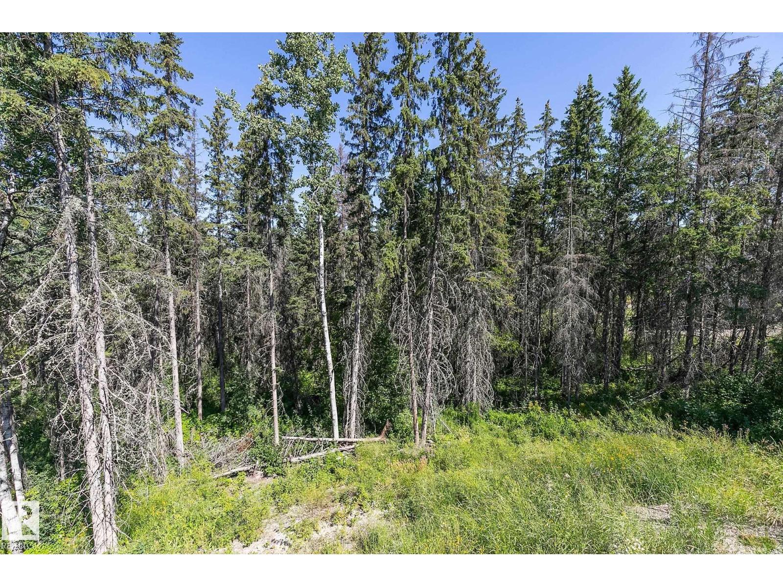 311 55504 Rr 13, Rural Lac Ste. Anne County, Alberta  T0E 1V0 - Photo 65 - E4471562