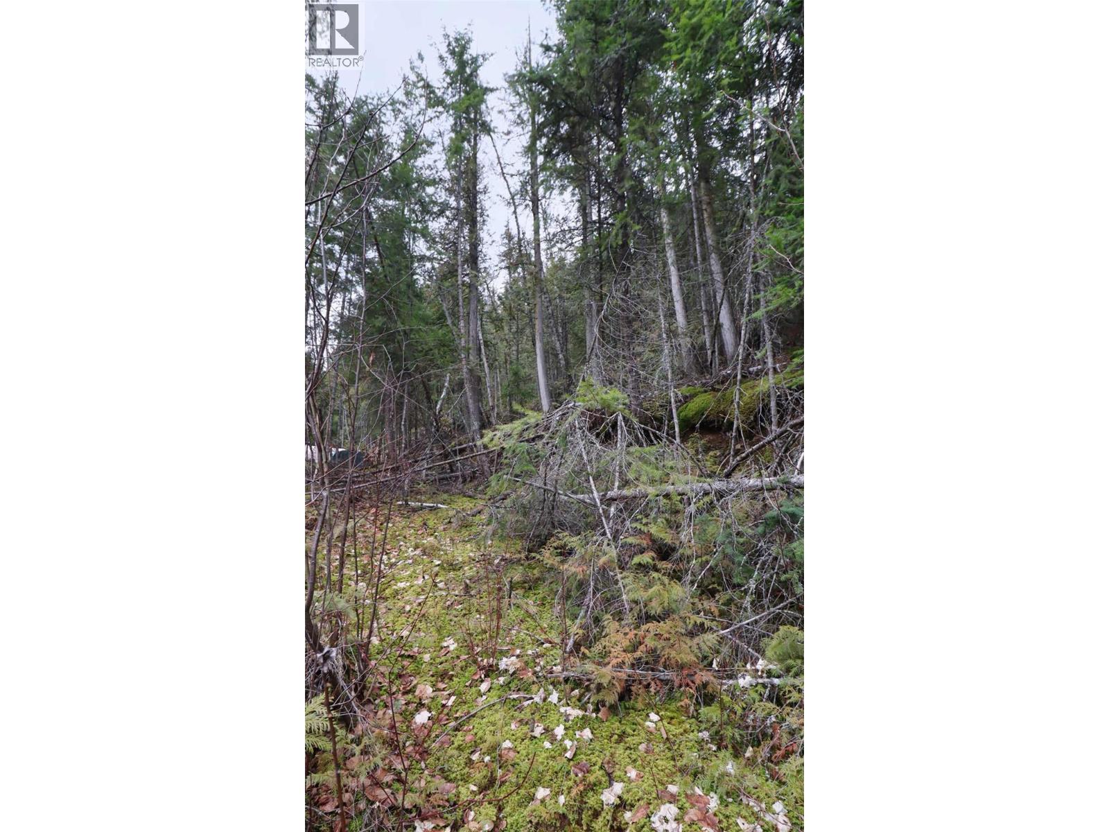 Eagleview Road Lot# 5, Eagle Bay, British Columbia  V0E 1T0 - Photo 11 - 10374283