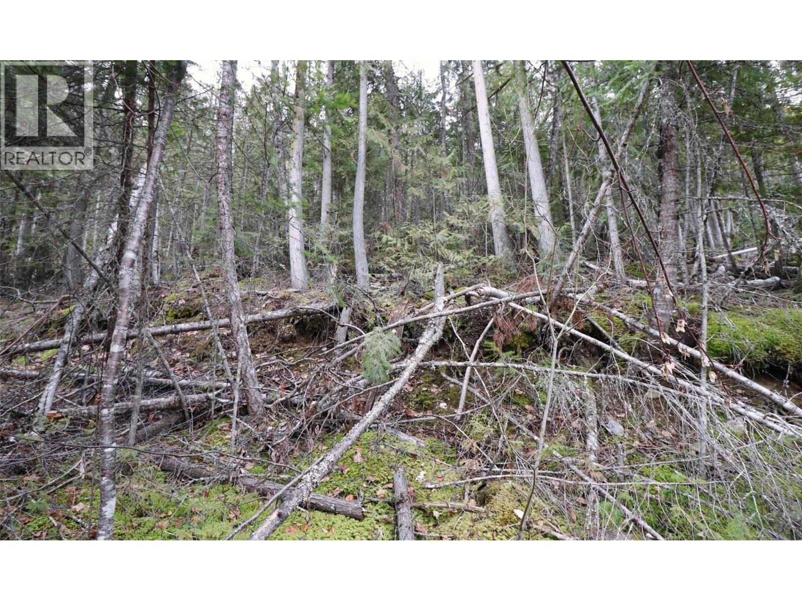 Eagleview Road Lot# 5, Eagle Bay, British Columbia  V0E 1T0 - Photo 12 - 10374283