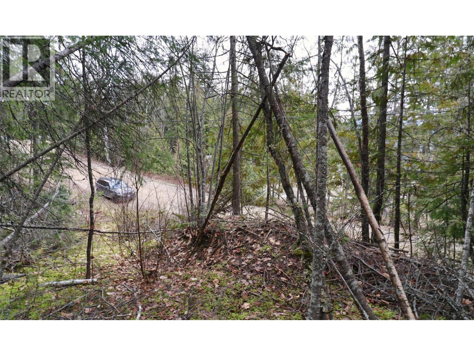 Eagleview Road Lot# 5, Eagle Bay, British Columbia  V0E 1T0 - Photo 13 - 10374283