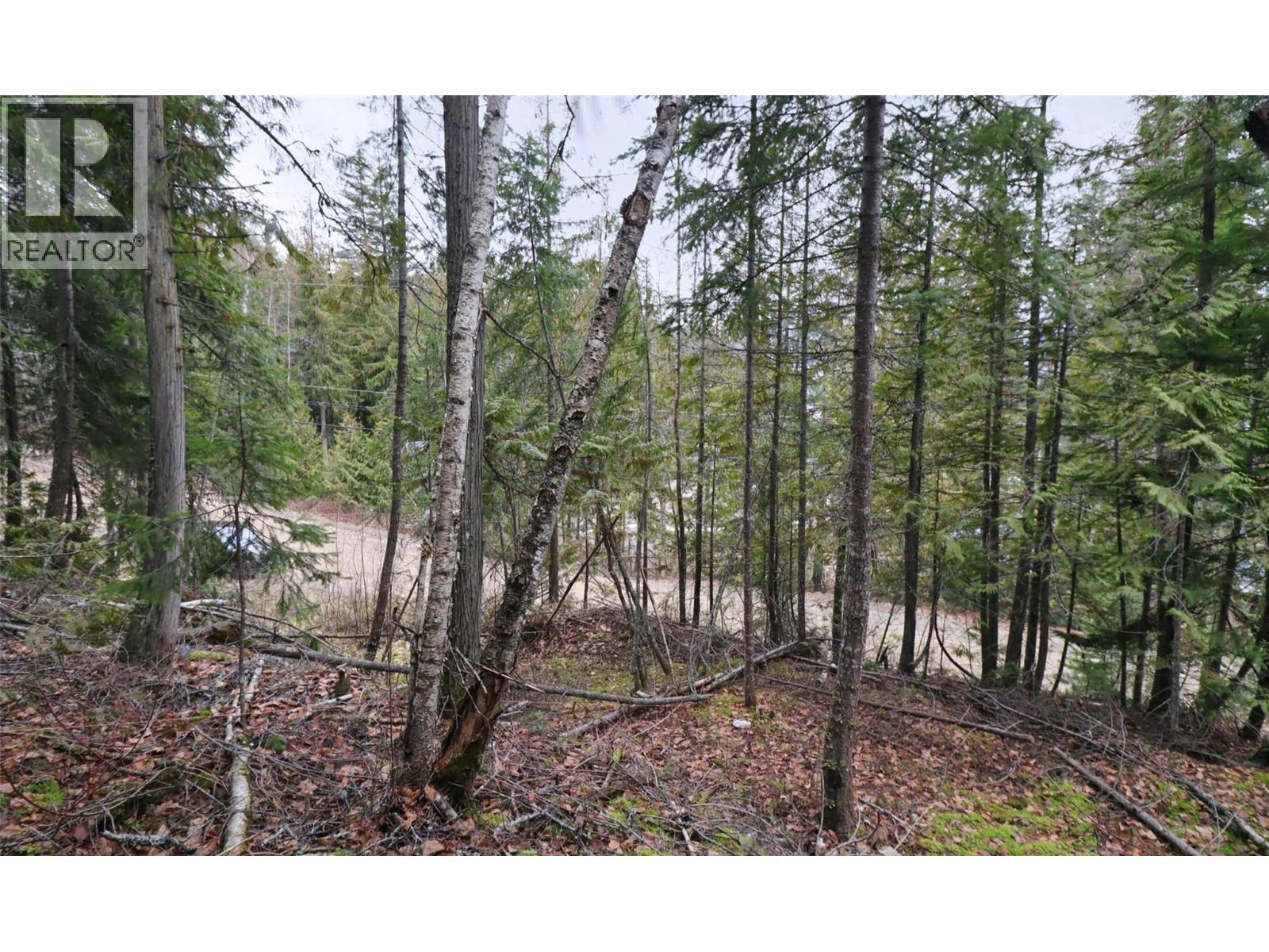 Eagleview Road Lot# 5, Eagle Bay, British Columbia  V0E 1T0 - Photo 14 - 10374283