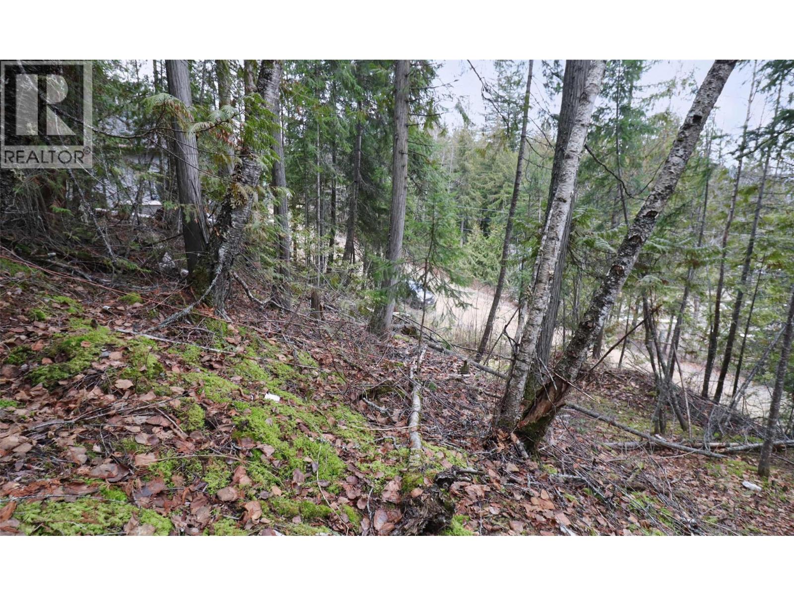 Eagleview Road Lot# 5, Eagle Bay, British Columbia  V0E 1T0 - Photo 15 - 10374283