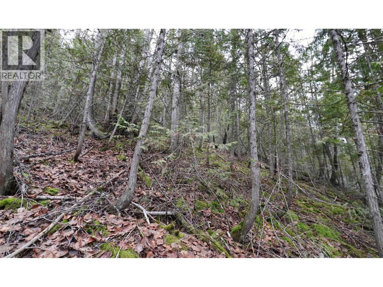 Eagleview Road Lot# 5, Eagle Bay, British Columbia  V0E 1T0 - Photo 16 - 10374283