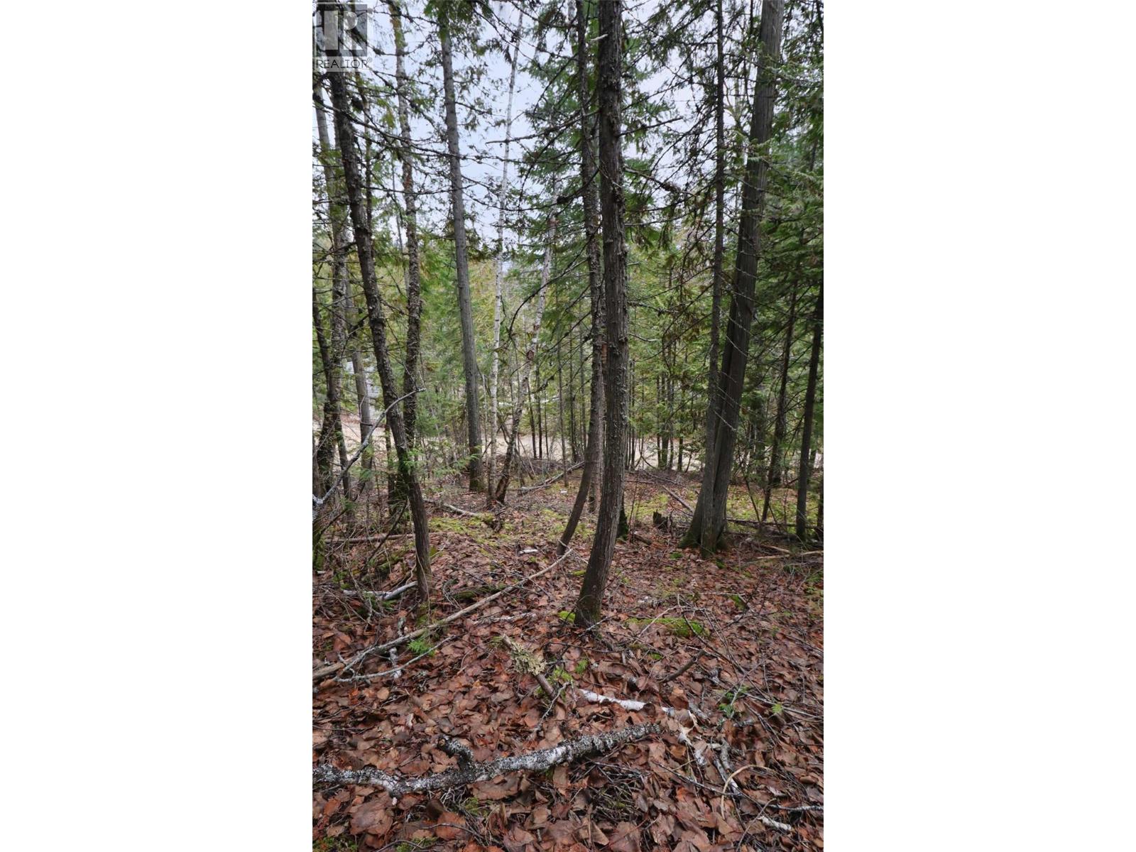 Eagleview Road Lot# 5, Eagle Bay, British Columbia  V0E 1T0 - Photo 17 - 10374283