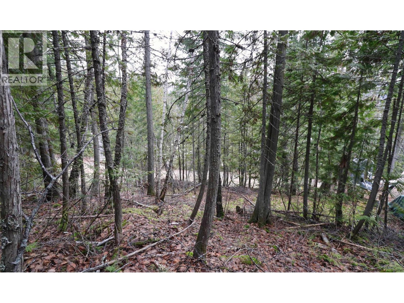 Eagleview Road Lot# 5, Eagle Bay, British Columbia  V0E 1T0 - Photo 18 - 10374283