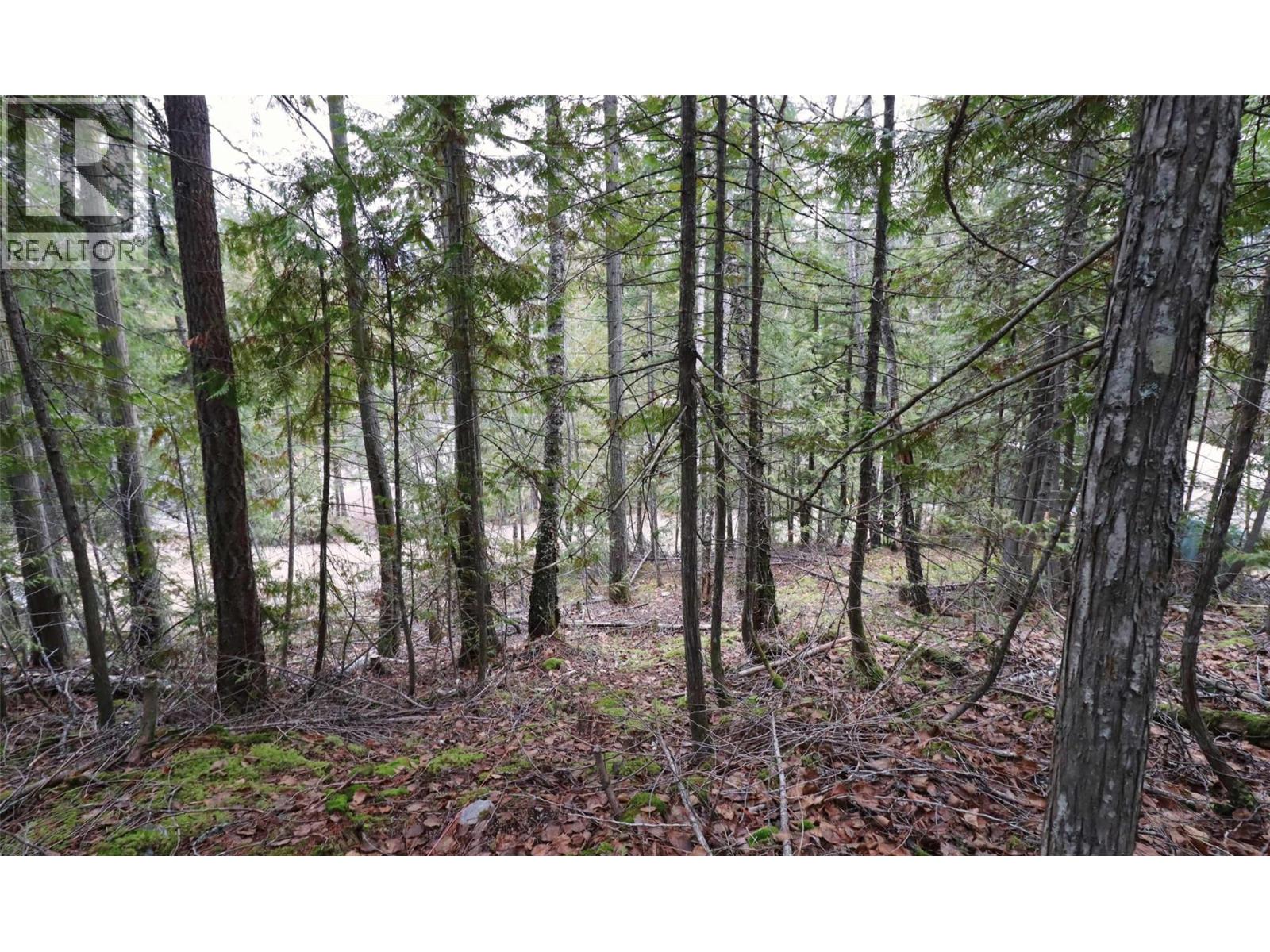 Eagleview Road Lot# 5, Eagle Bay, British Columbia  V0E 1T0 - Photo 19 - 10374283