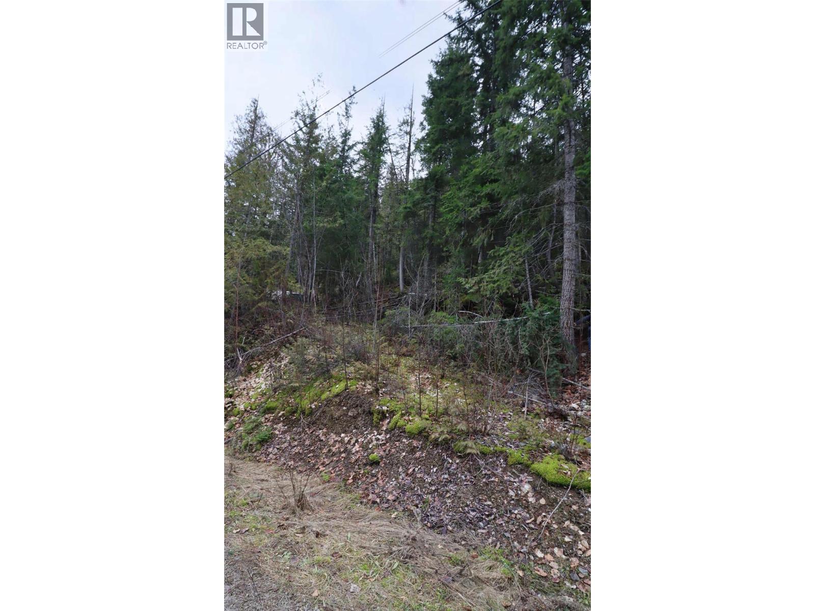 Eagleview Road Lot# 5, Eagle Bay, British Columbia  V0E 1T0 - Photo 2 - 10374283