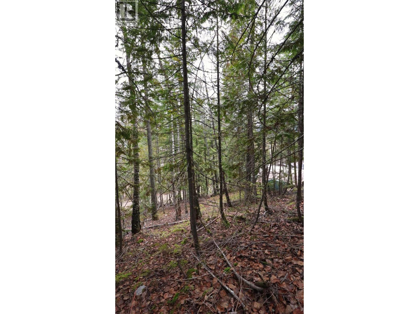 Eagleview Road Lot# 5, Eagle Bay, British Columbia  V0E 1T0 - Photo 20 - 10374283