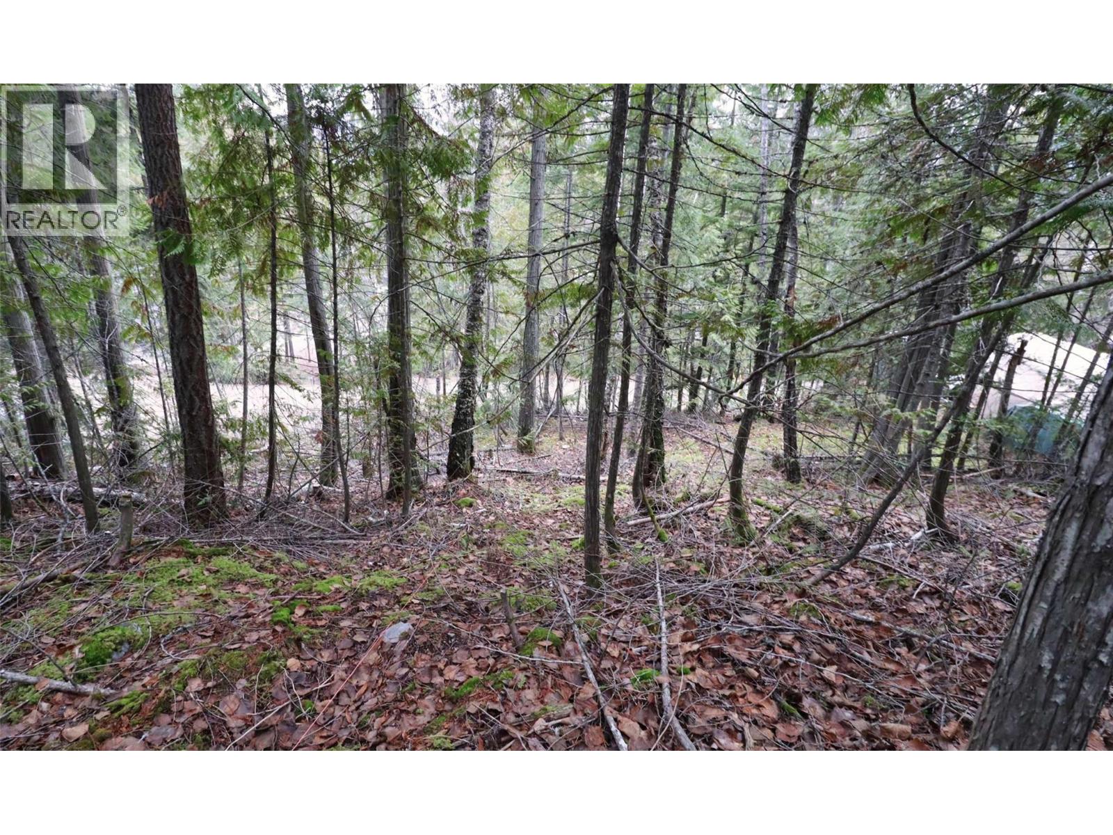 Eagleview Road Lot# 5, Eagle Bay, British Columbia  V0E 1T0 - Photo 21 - 10374283