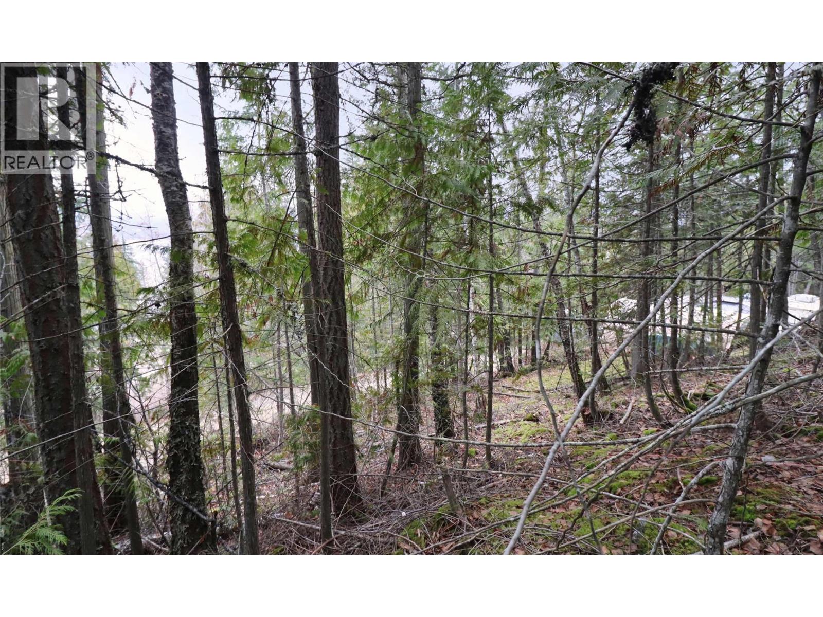 Eagleview Road Lot# 5, Eagle Bay, British Columbia  V0E 1T0 - Photo 22 - 10374283