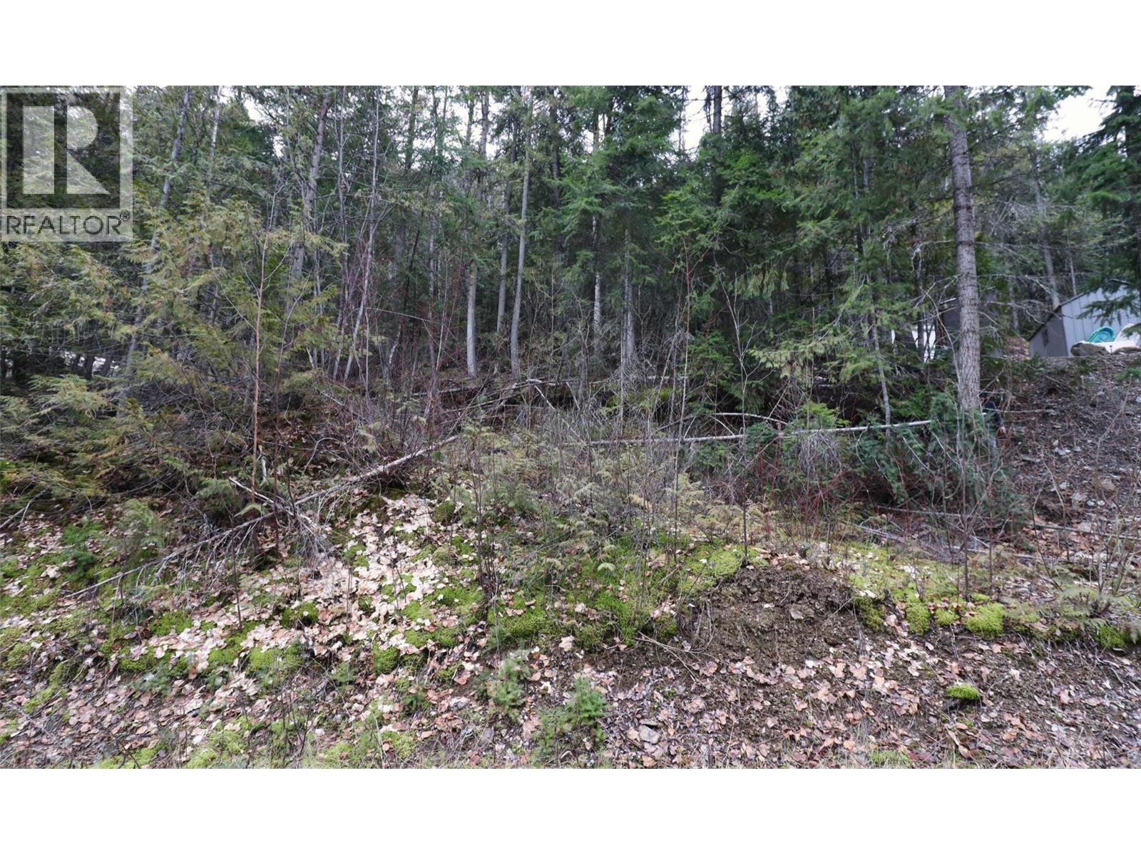 Eagleview Road Lot# 5, Eagle Bay, British Columbia  V0E 1T0 - Photo 3 - 10374283