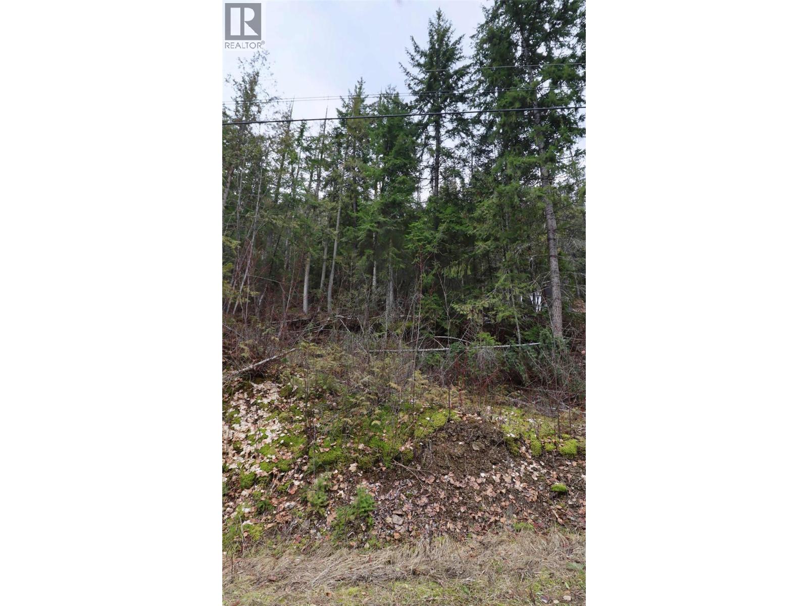 Eagleview Road Lot# 5, Eagle Bay, British Columbia  V0E 1T0 - Photo 4 - 10374283