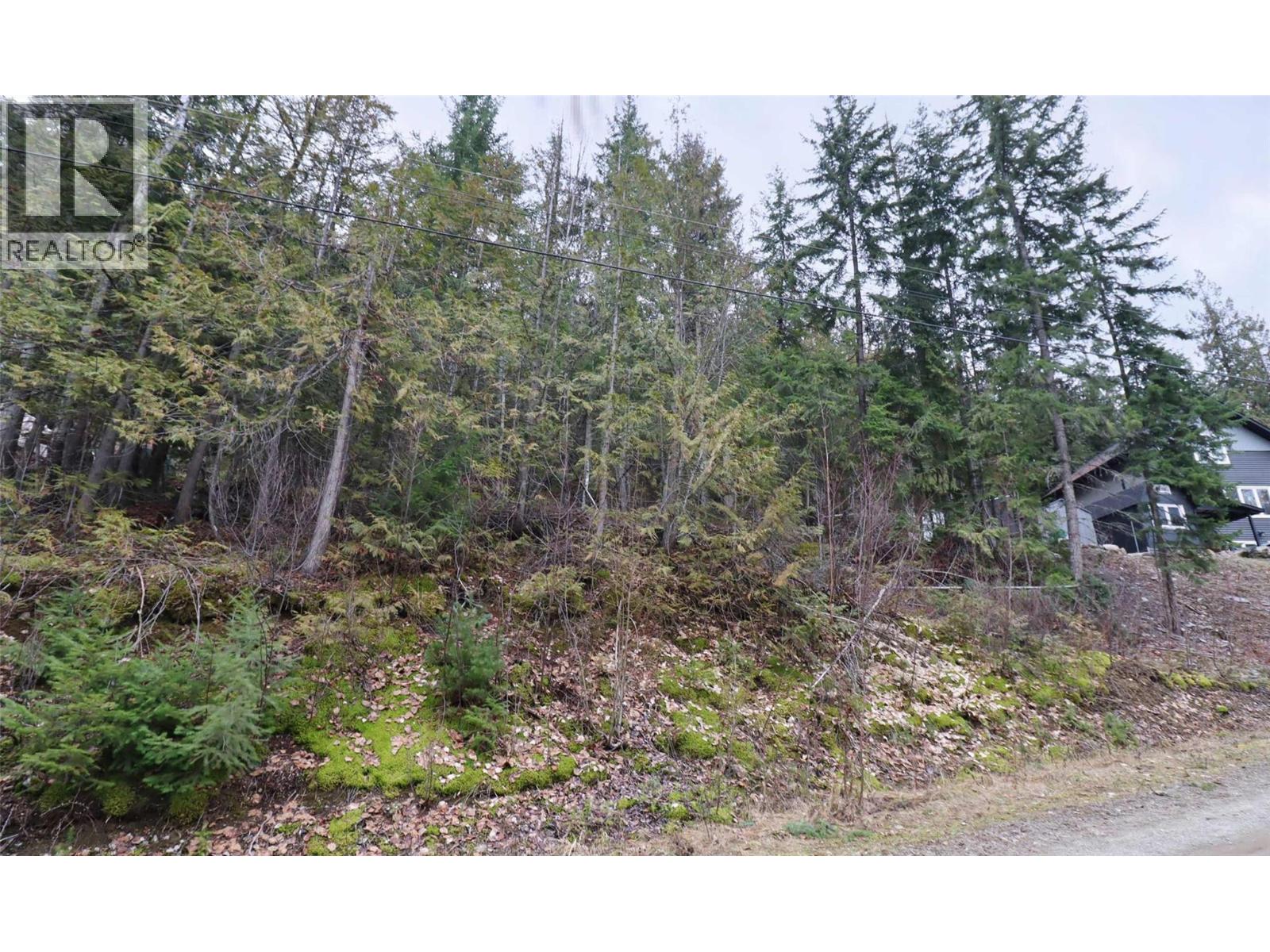 Eagleview Road Lot# 5, Eagle Bay, British Columbia  V0E 1T0 - Photo 5 - 10374283