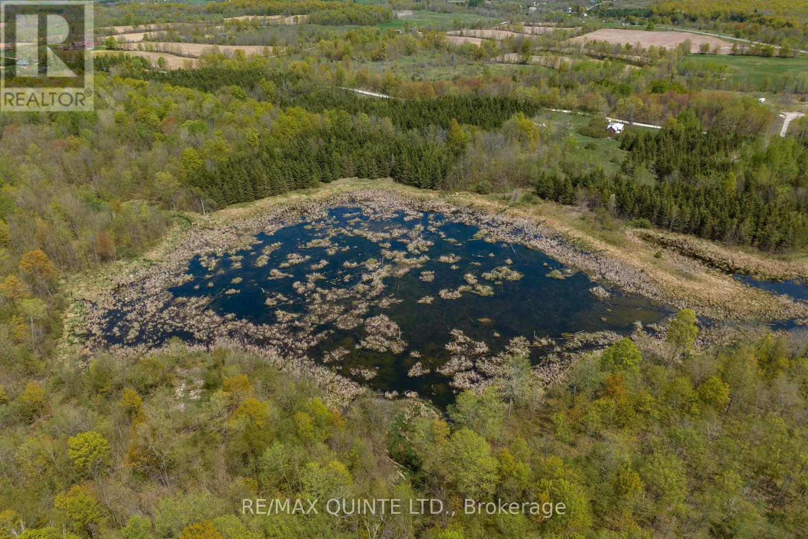 289 Woods Road, Madoc, Ontario  K0K 2K0 - Photo 4 - X12741338