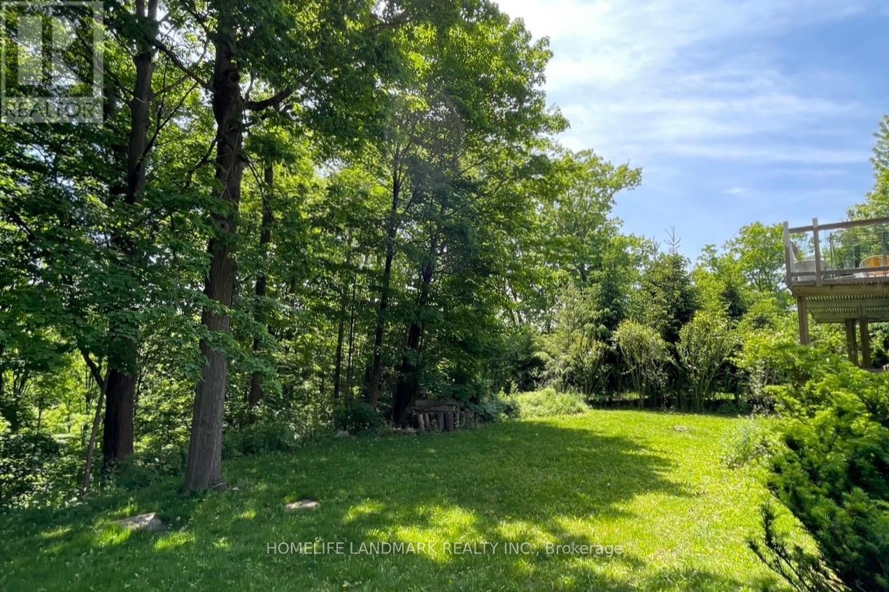 B3 - 2415 Jarvis Street, Mississauga, Ontario  L5C 2P7 - Photo 33 - W12741340