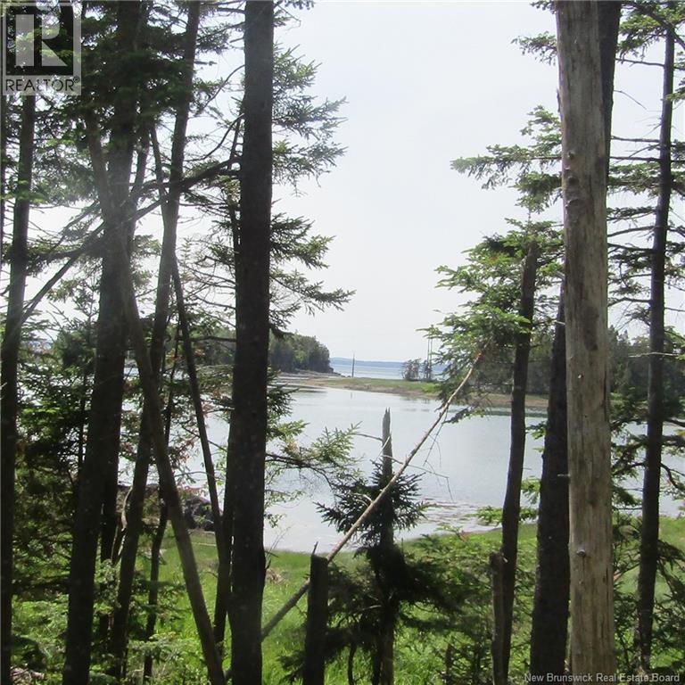 39 Meadowbrook Lane, L'etete, New Brunswick  E5C 2P2 - Photo 12 - NB132811