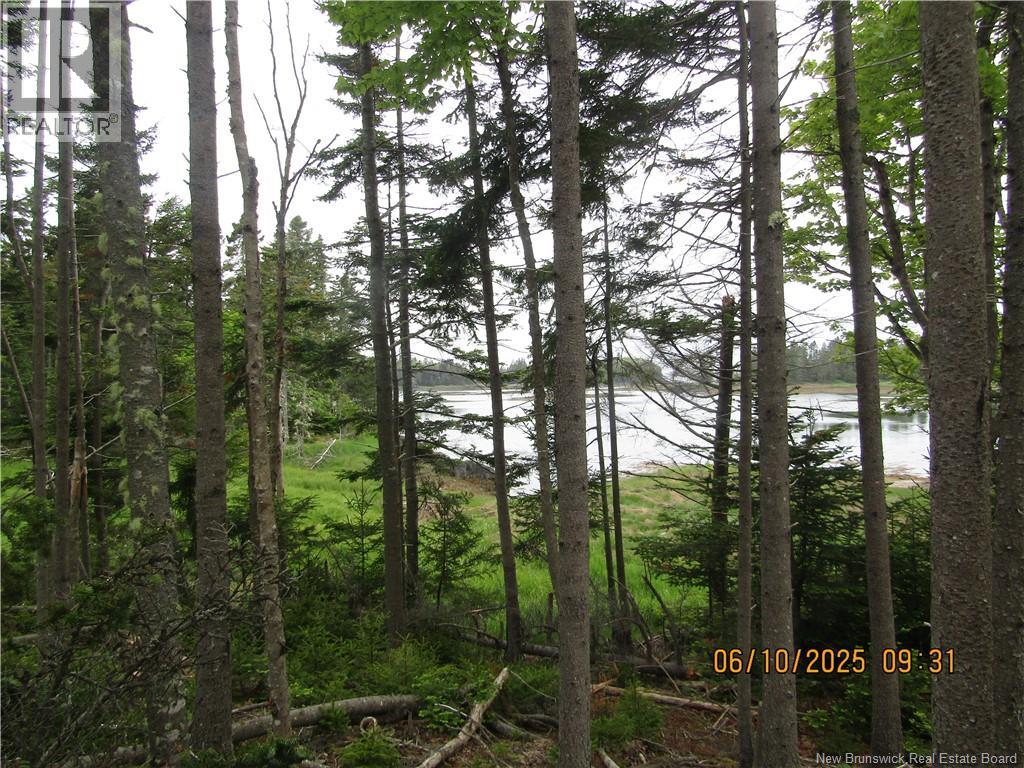 39 Meadowbrook Lane, L'etete, New Brunswick  E5C 2P2 - Photo 13 - NB132811