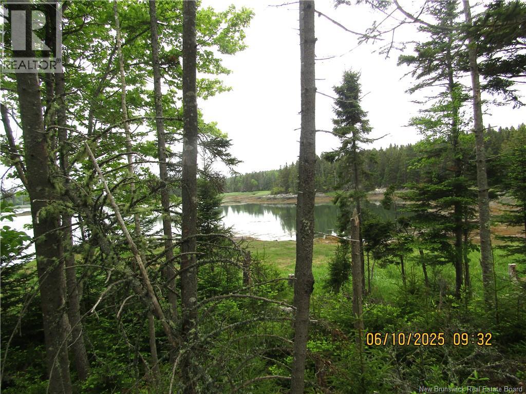 39 Meadowbrook Lane, L'etete, New Brunswick  E5C 2P2 - Photo 14 - NB132811