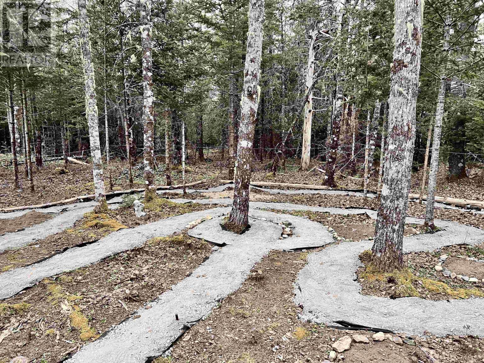 3389 Highway 340 Highway, Carleton, Nova Scotia  B5A 5P8 - Photo 46 - 202601740