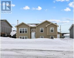 14 Sampson Crest, Grand Falls - Windsor, Newfoundland & Labrador