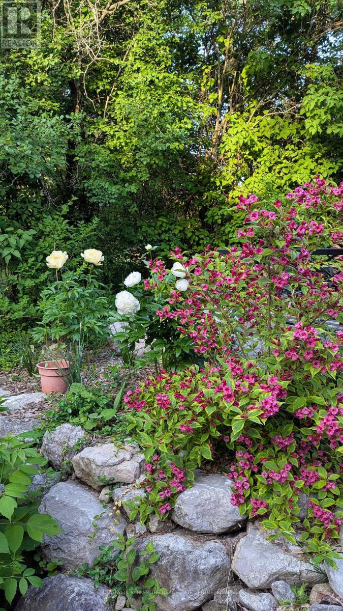 135 Simcoe Street, Orillia, Ontario  L3V 1G8 - Photo 24 - S12741408