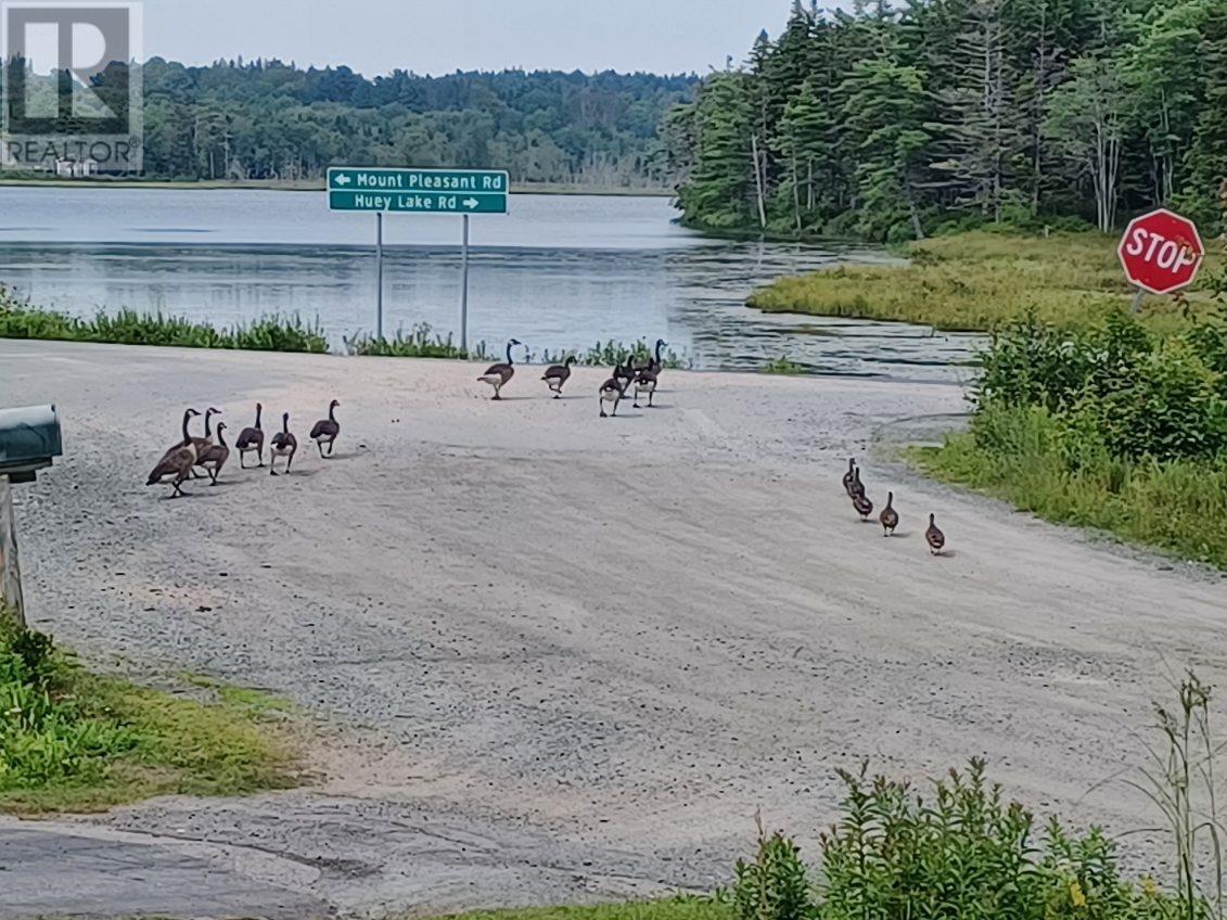 1162 Mount Pleasant Road, Mount Pleasant, Nova Scotia  B0R 1G0 - Photo 2 - 202601745