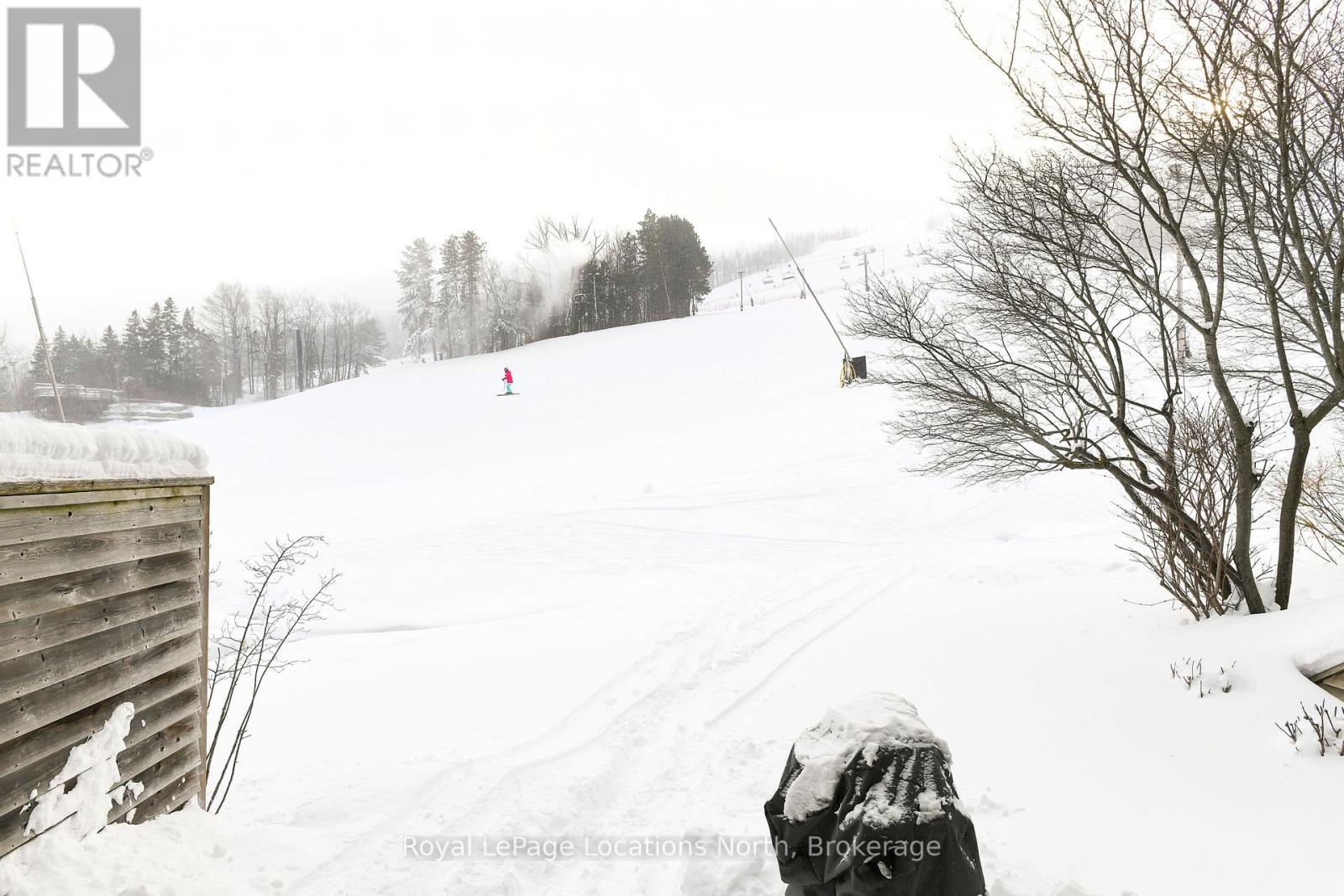 101 - 796404 Grey Road 19, Blue Mountains, Ontario  L9Y 0N8 - Photo 14 - X12741494