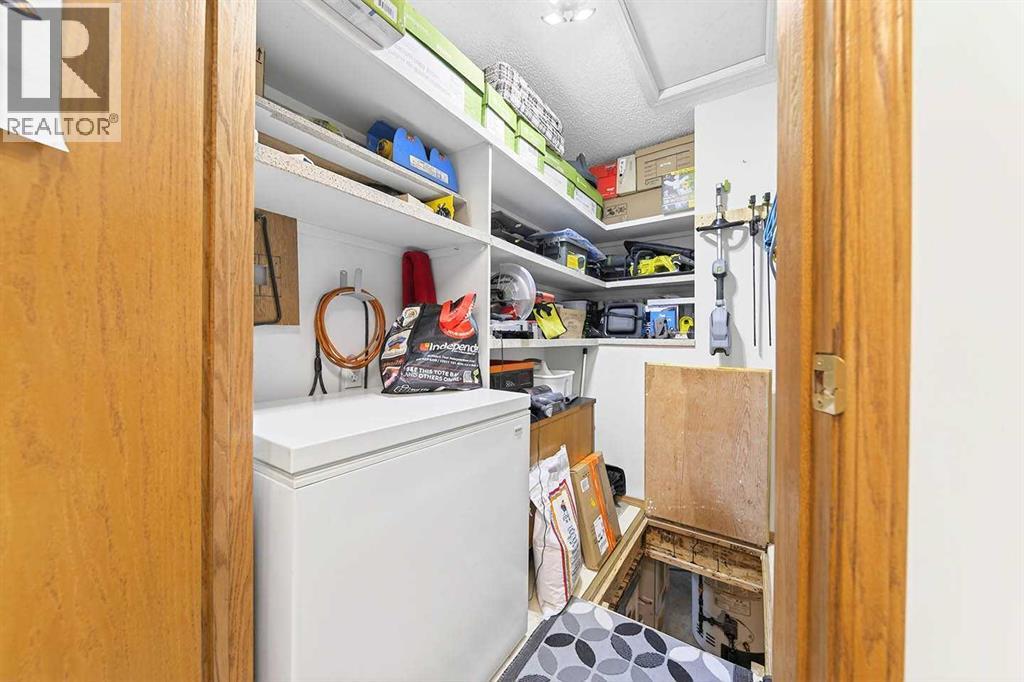 13 Parklane Place, Strathmore, Alberta  T1P 1K7 - Photo 25 - A2282761