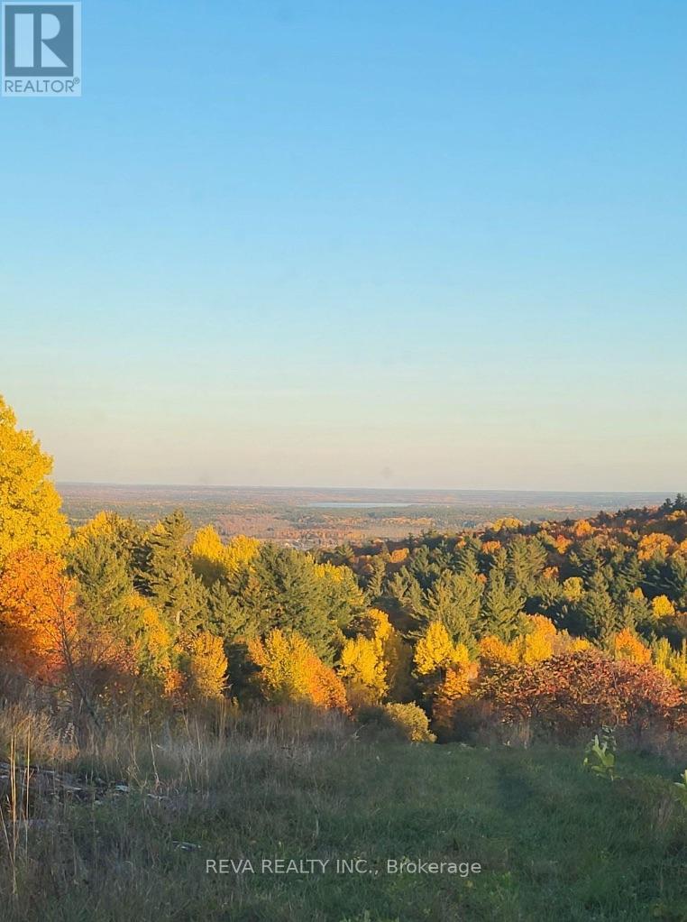 1048 Kennelly Mountain Road, Greater Madawaska, Ontario  K7V 3Z7 - Photo 3 - X12732392