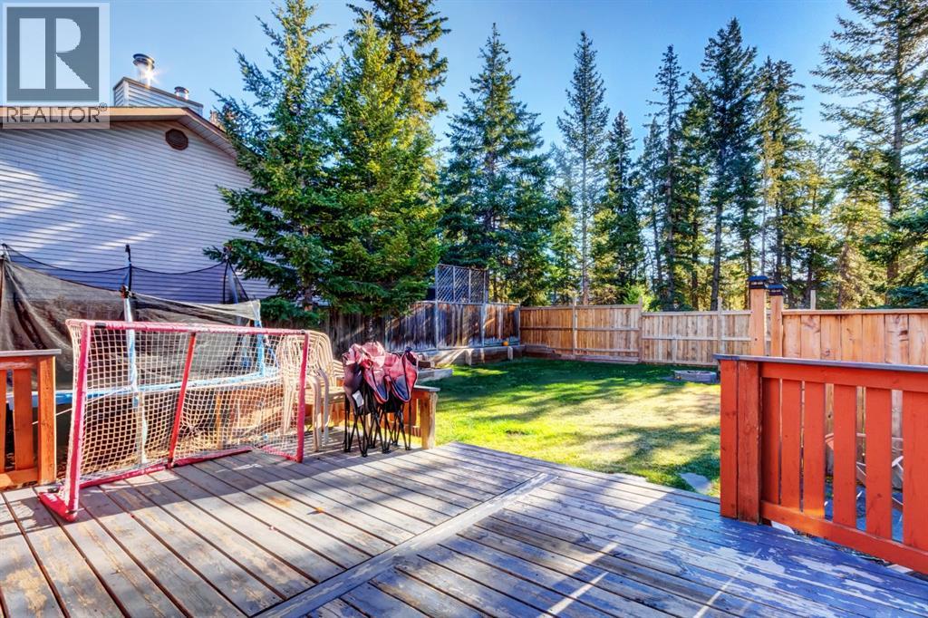 303 Pioneer Road, Canmore, Alberta  T1W 1E8 - Photo 25 - A2268124