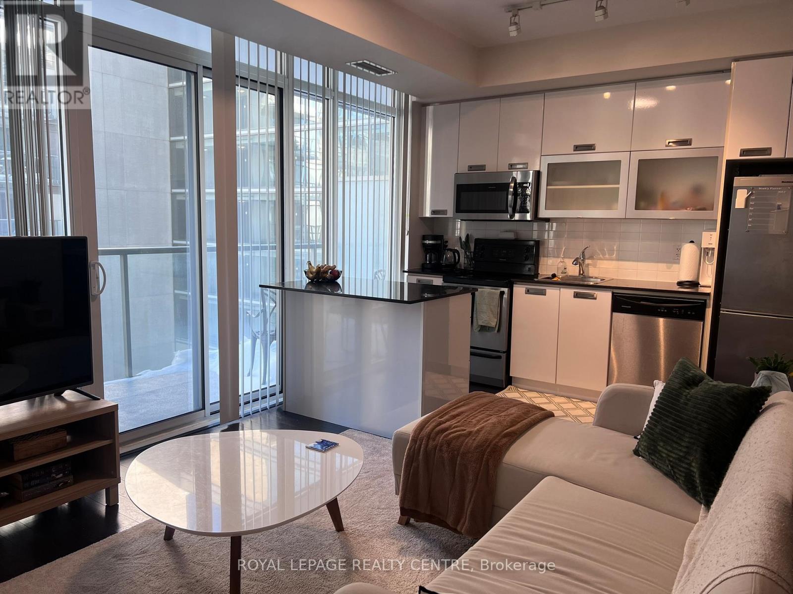 531 - 90 Stadium Road, Toronto, Ontario  M5V 3W5 - Photo 9 - C12741660