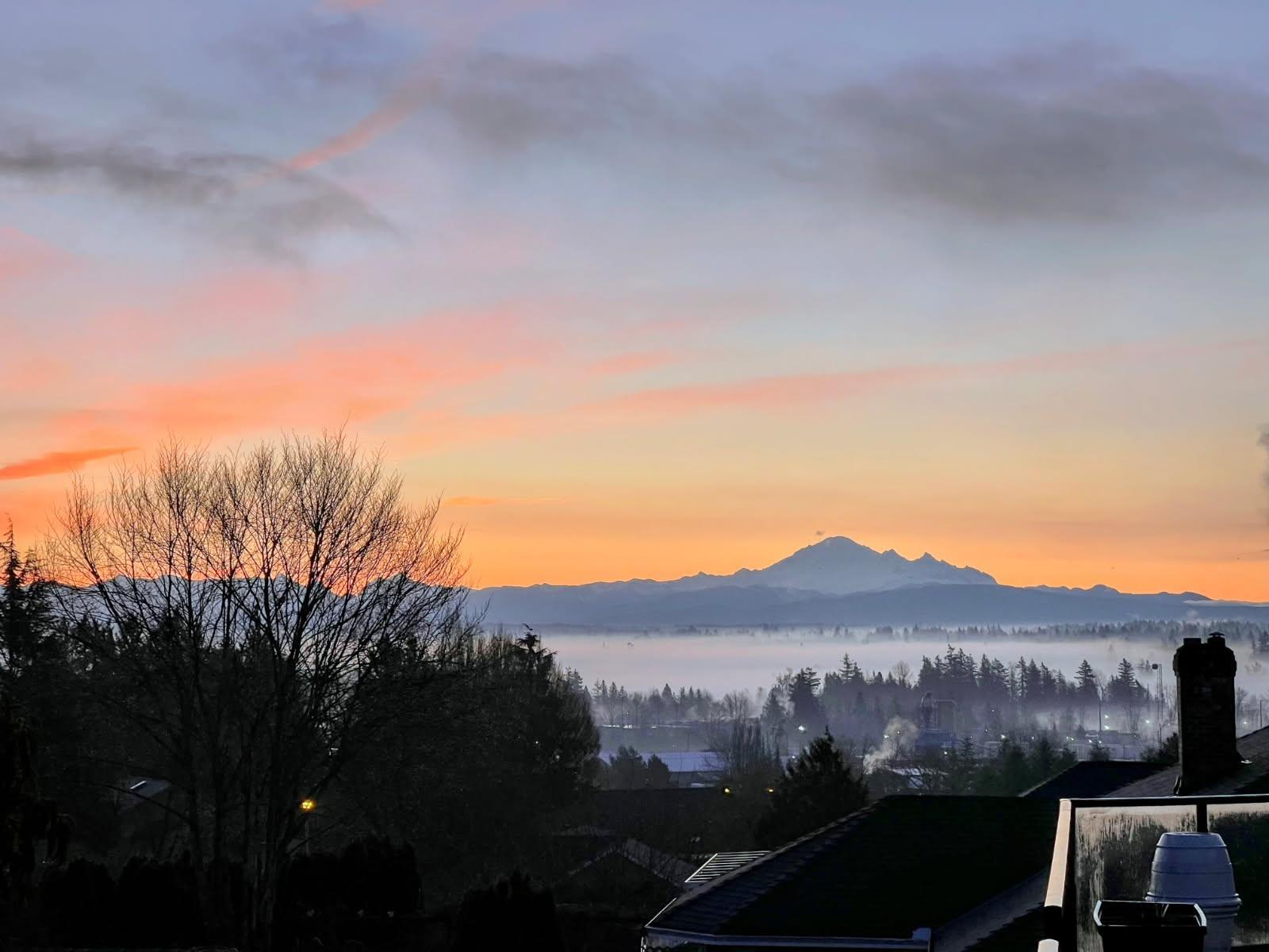 5690 W Sunrise Crescent, Surrey, British Columbia V3S 7M4 - Photo 38 - R3084505