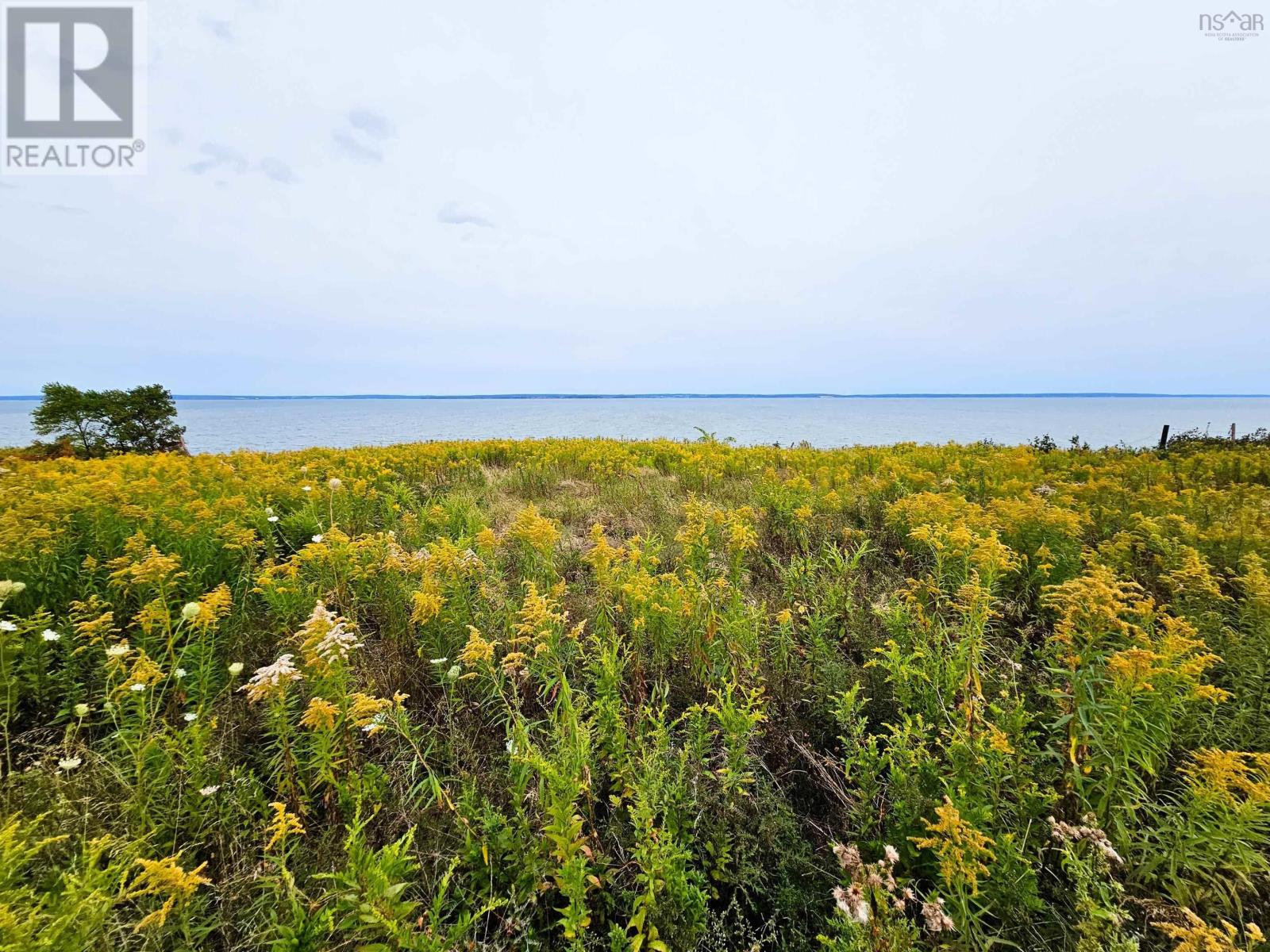 4614 Highway 2, Upper Economy, Nova Scotia  B0M 1B0 - Photo 3 - 202601761