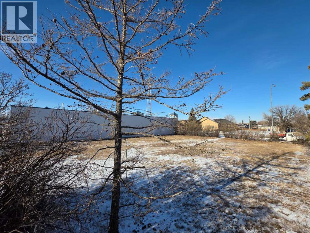 319 2 Avenue N, Vauxhall, Alberta  T0K 2K0 - Photo 4 - A2282023