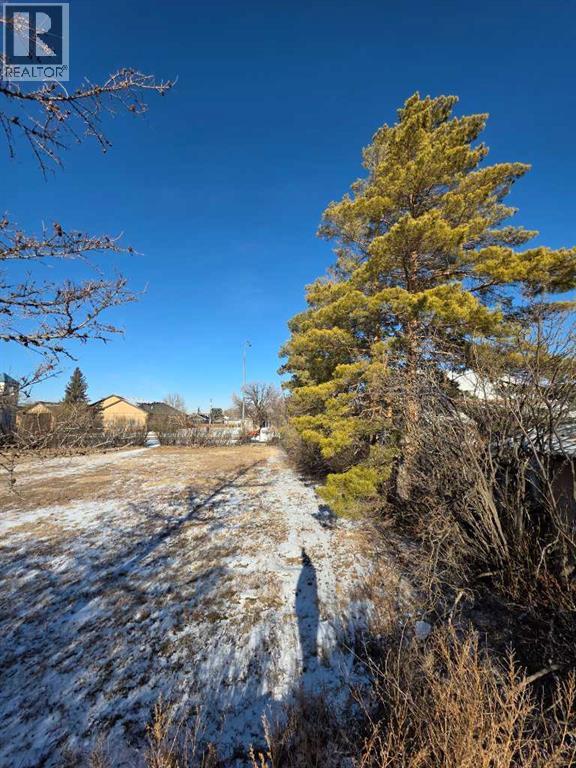 319 2 Avenue N, Vauxhall, Alberta  T0K 2K0 - Photo 5 - A2282023