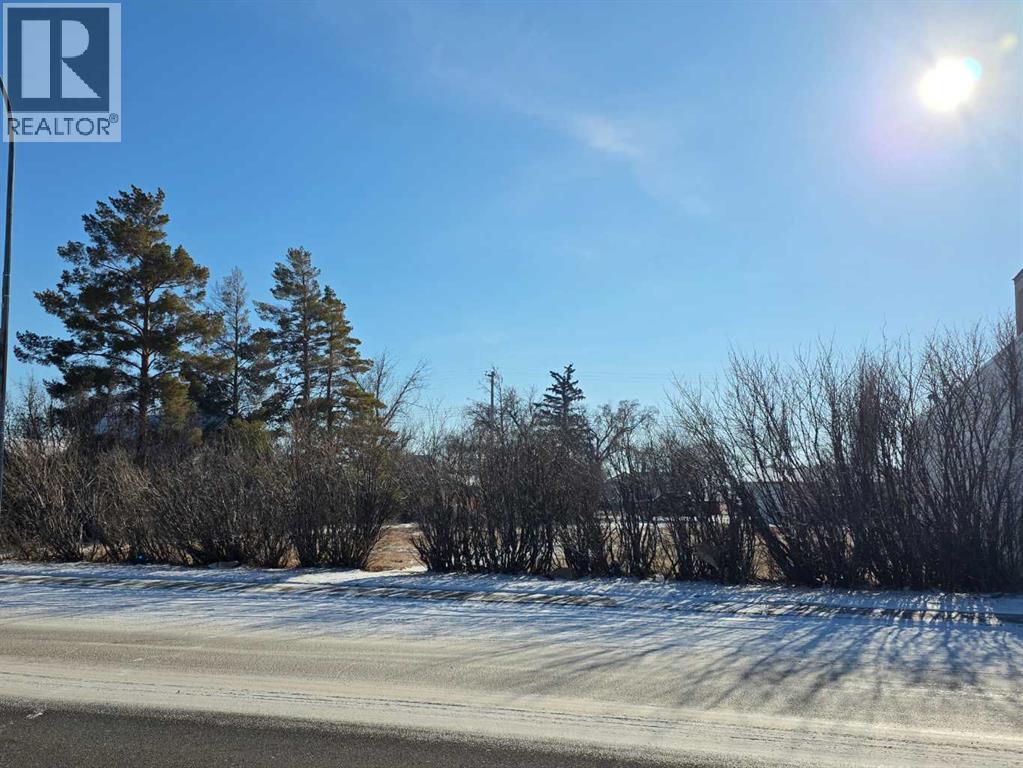 319 2 Avenue N, Vauxhall, Alberta  T0K 2K0 - Photo 7 - A2282023