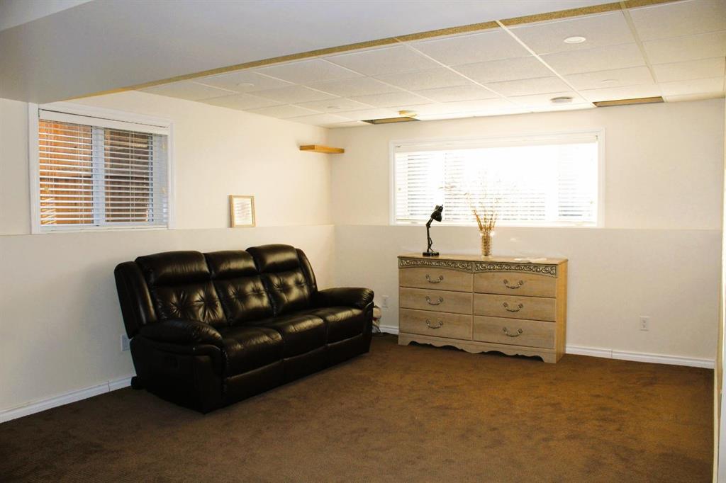 9 Promenade Jeanne Drive, La Broquerie, Manitoba  R0A 0W0 - Photo 23 - 202529120