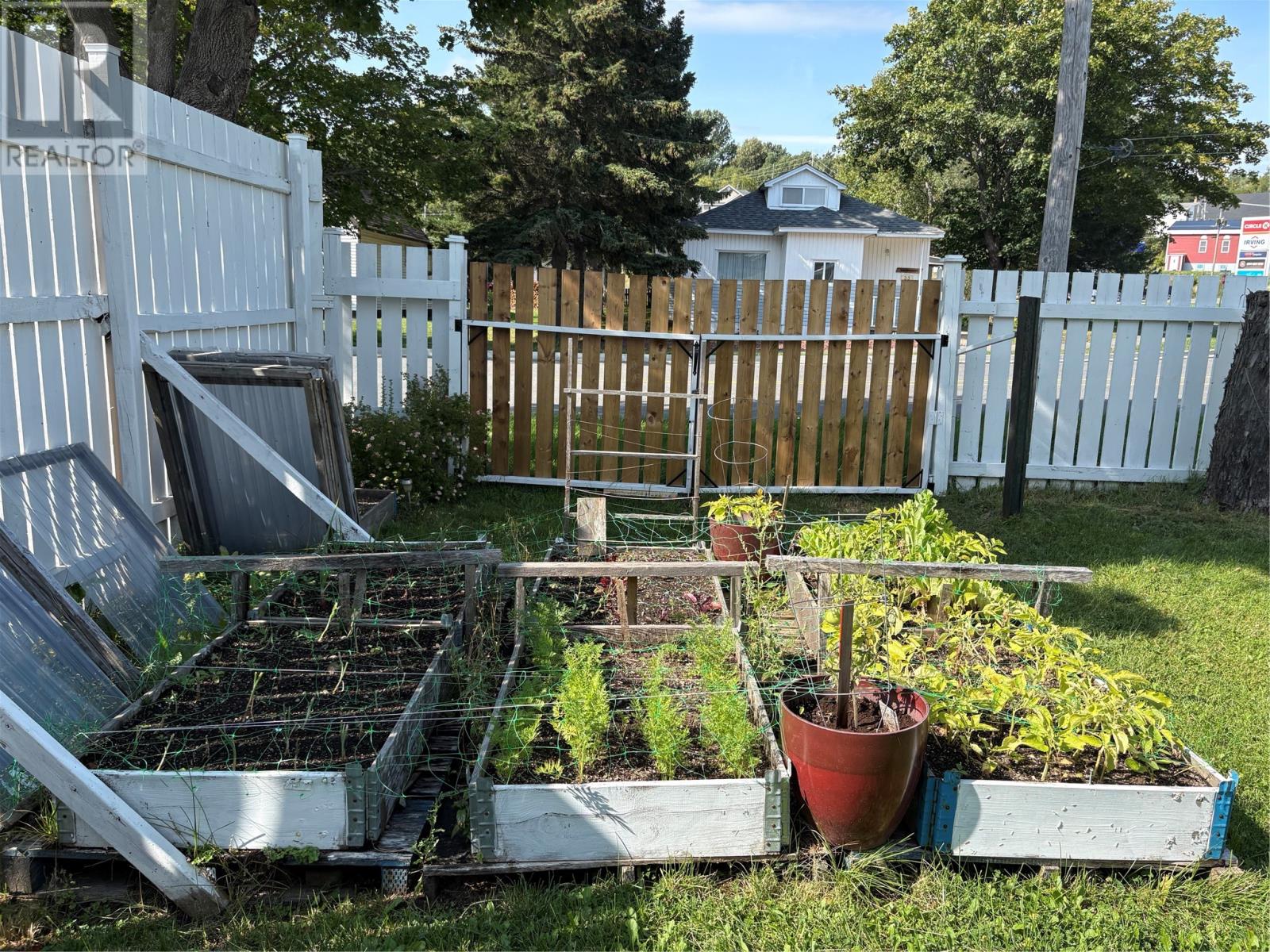 34 Circular Road, Grand Falls-Windsor, Newfoundland & Labrador  A2A 1B1 - Photo 8 - 1294145