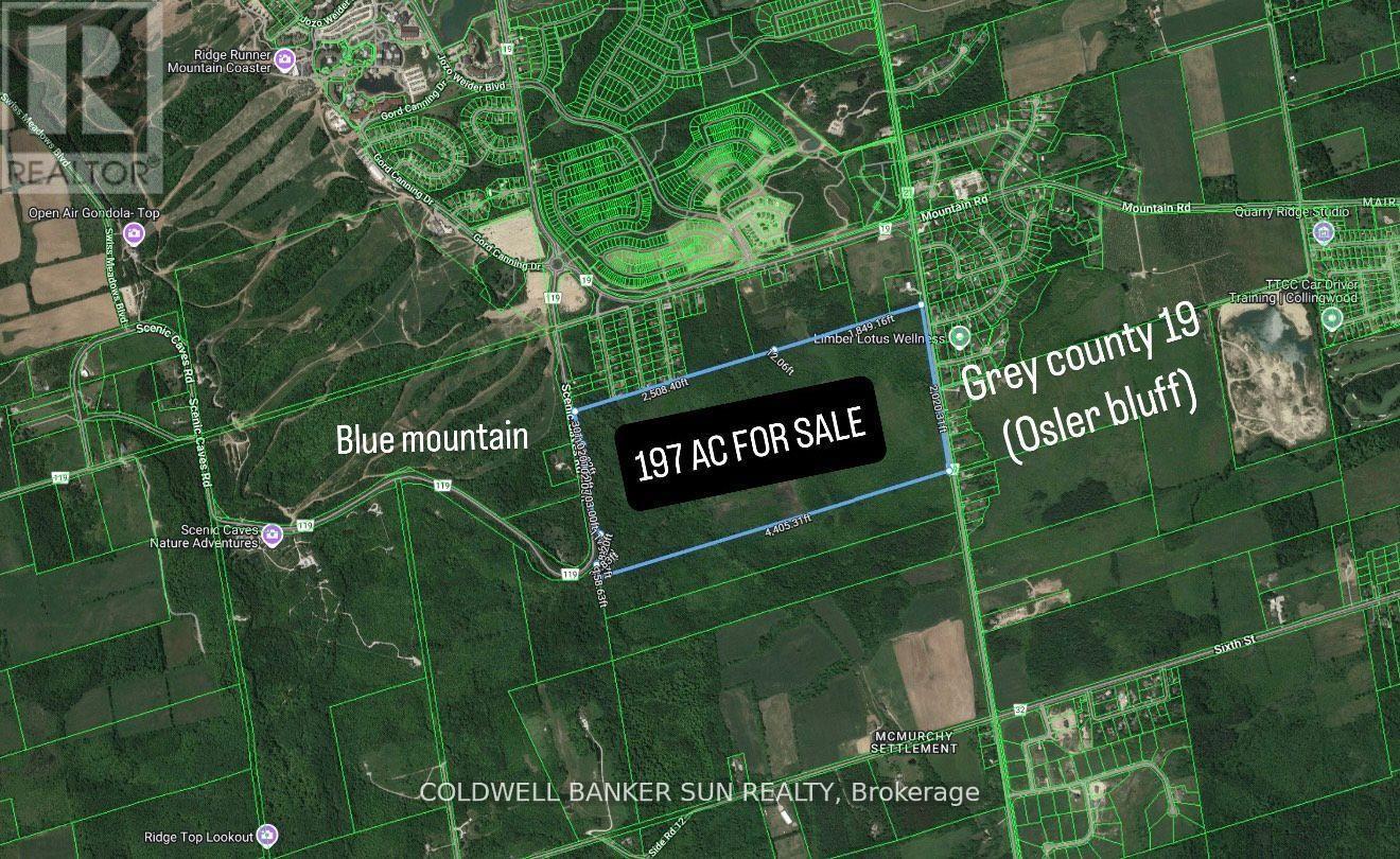 000 Grey County 19 Road, Blue Mountains, Ontario  L9Y 0N5 - Photo 3 - X12741802