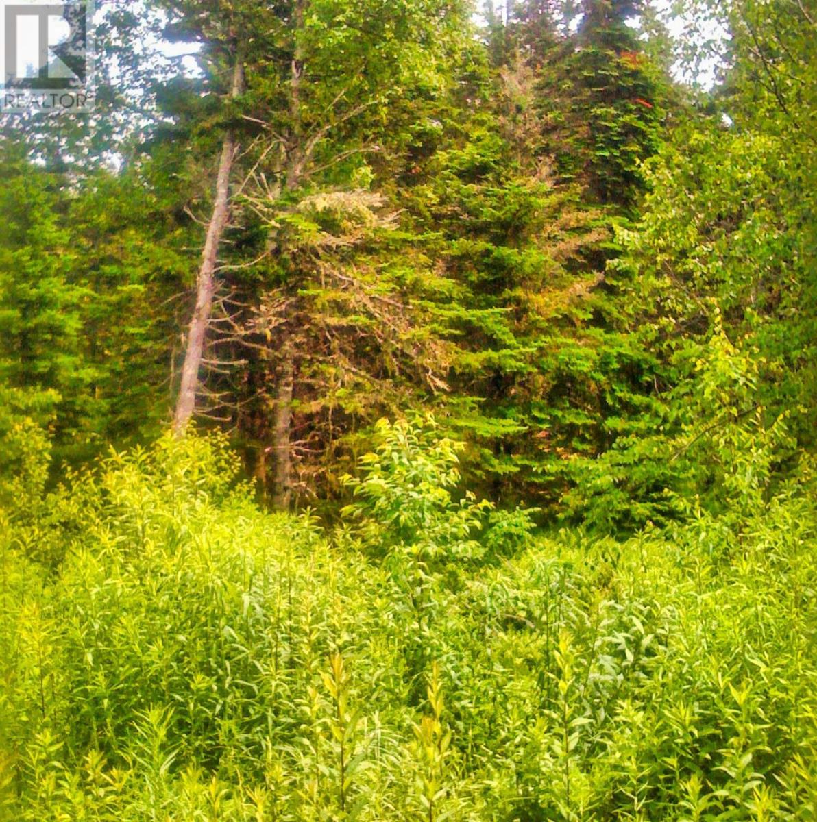 Lot 99-7 104 Nature Dream Boulevard, Roberta, Nova Scotia  B0E 3K0 - Photo 4 - 202601767