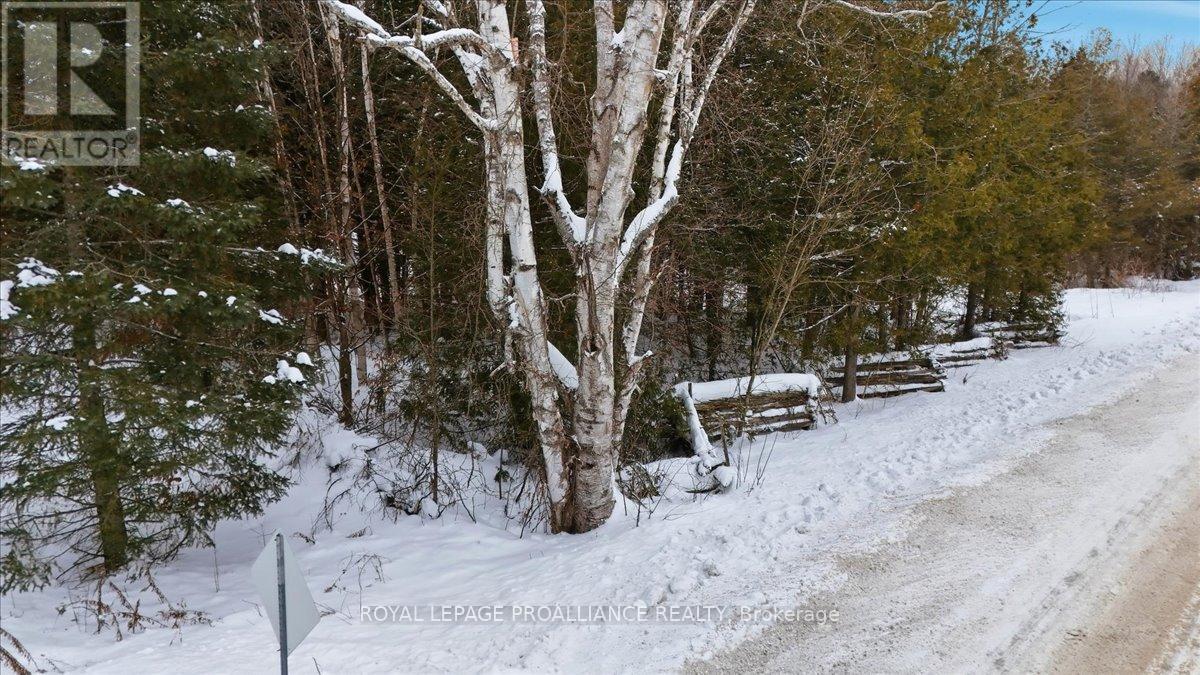 0 Quin Mo Lac Road, Tweed (Hungerford (Twp)), Ontario  K0K 3J0 - Photo 2 - X12742024