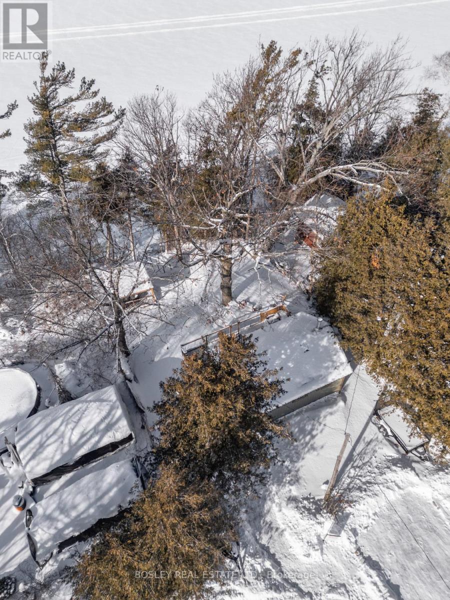 6812 Shearer Point Road, Alnwick/haldimand, Ontario  K0K 2X0 - Photo 32 - X12742070